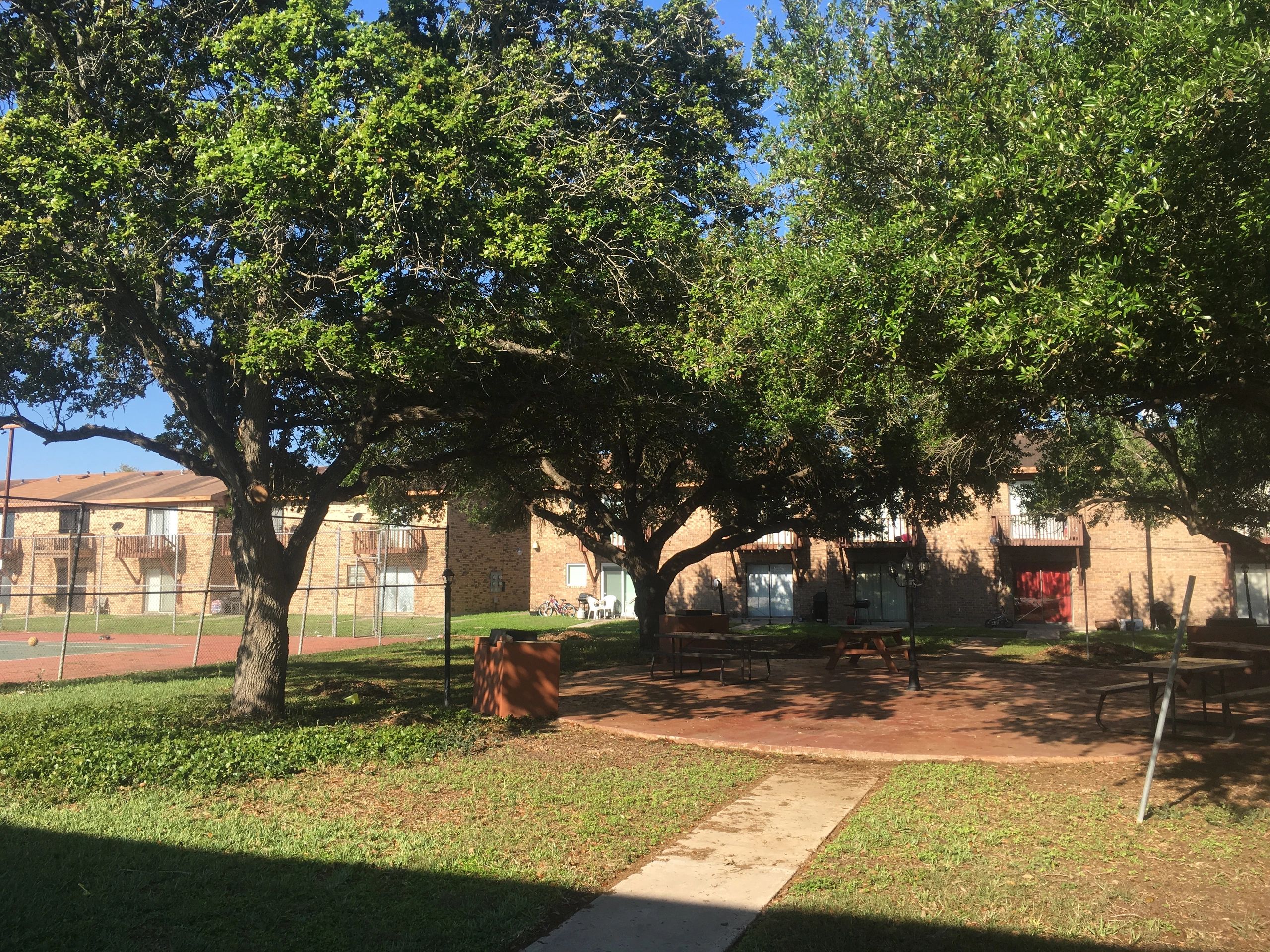 Financial Statement II